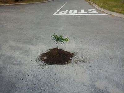 No end to potholes and patches